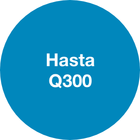 Hasta Q300