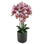 Orquídea Artificial en Maceta Blanca y Morada 72 Cm