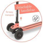 Scooter de 3 Ruedas Flamingo
