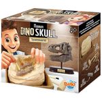 Cráneo de T-Rex  - Buki