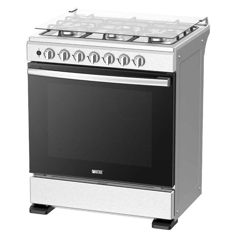 Estufa de Piso a Gas 6 Hornillas 30 Plg
