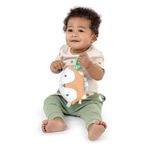 Juguete Sensorial Crinklet Zorro