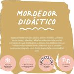 Mordedor Didáctico Etapa 3 Colores Surtidos - Suavinex