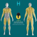 Masajeador de Percusión Inalámbrico y Recargable