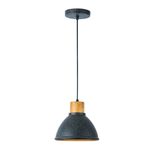 Lámpara Colgante Gloas 1 Luz Negro