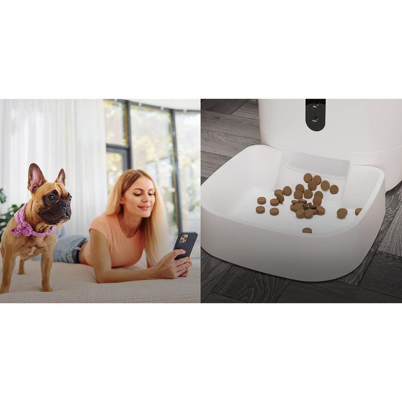 Dispensador Inteligente de Alimento Para Mascotas Wifi - Nexxt