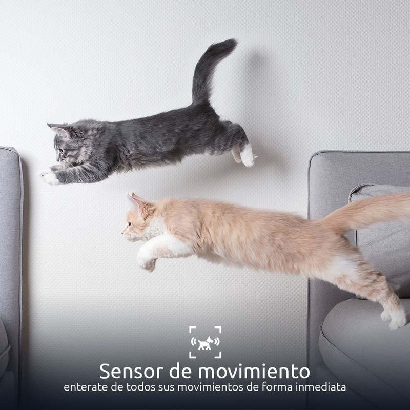 Dispensador Inteligente de Alimento Para Mascotas Wifi - Nexxt