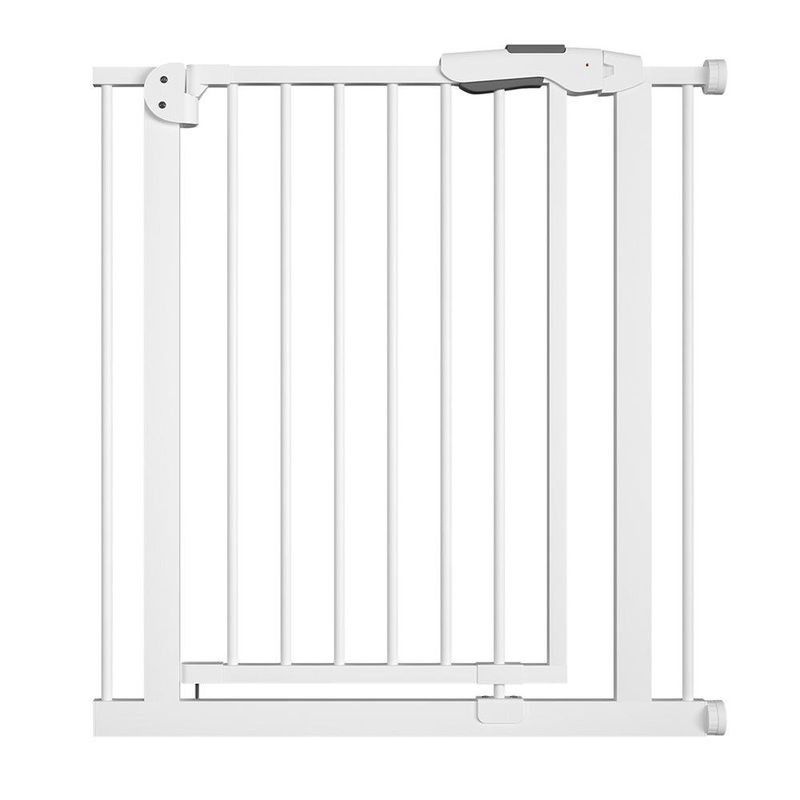 Puerta de Seguridad Acero