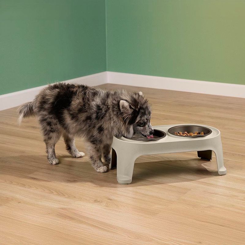 Plato Alto para Perro Pequeño - Taupe