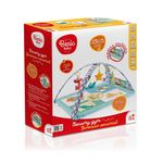 Gimnasio Con Chinchines y Libro