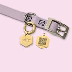 Collar para Perro Pequeño con Código Qr