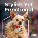 Collar para Perro Pequeño con Código Qr