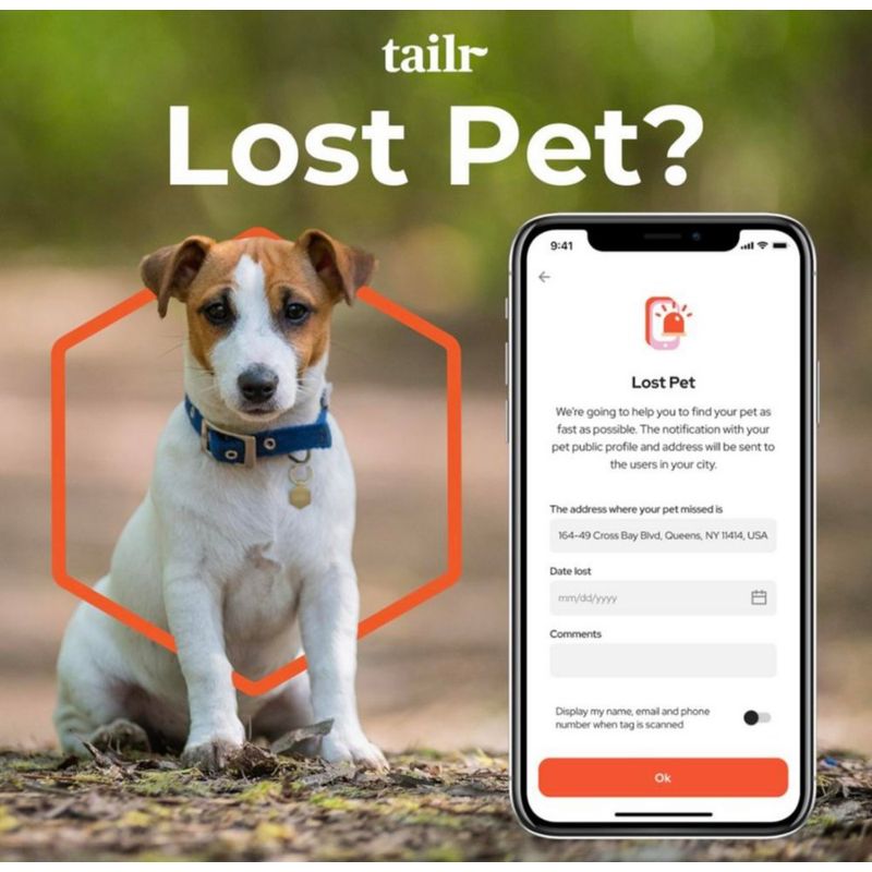 Collar para Perro Pequeño con Código Qr