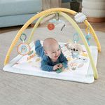 Gimnasio para Bebé Simply Senses Fisher-Price