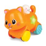 Gato de Actividad Winfun