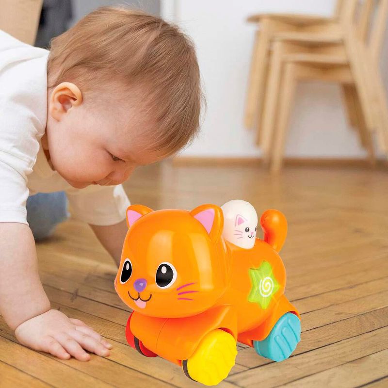Gato de Actividad Winfun