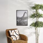 Cuadro Decorativo de Jirafas
