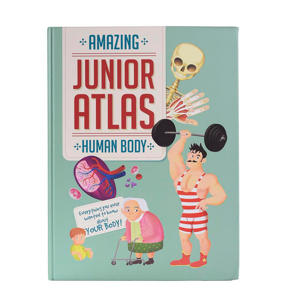 Amazing Jr. Atlas Human Body - Cemaco