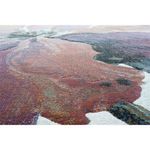 Alfombra Moderna de Área Argentum Multicolor 160x230 Cm