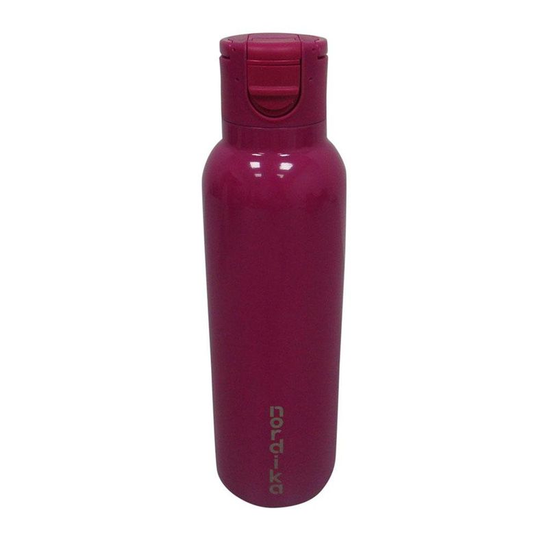 Pachón de Acero Inoxidable 710 ml Colores Surtidos