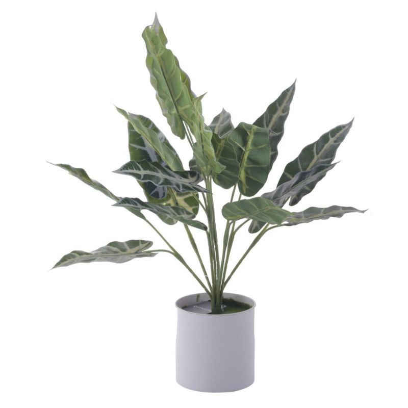 Planta Con Pote 40 Cm - Concepts