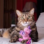 Juguete de Peluche para Gato Unicornio con Catnip 6 Plg Colores Surtidos