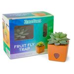 Planta Trampa para Moscas con Atrayente Diseño de Suculenta Naranja