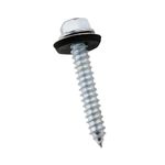 Set de 10 Tornillos Polser 1/4 x 1 1/2 Plg
