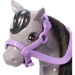 Muñeca Chelsea Con Pony De Barbie