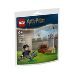 LEGO Harry Potter Lección de Quidditch
