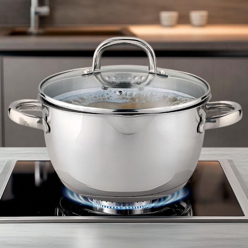 Olla de Acero Inoxidable con Tapa 20 Cm