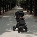 Carruaje de Paseo MIXX Next Color Caviar