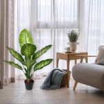 Planta-Hojas-Verdes-Con-Pote-90x60x90-Cm---Concepts
