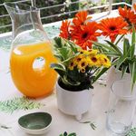 Jarra-Jugo-1.4-L---Wilmax
