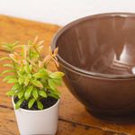 Bowl-Lara-5.7-Plg---Niu-Haus-Varios-Colores
