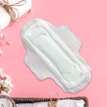 Toallas Sanitarias Super Absorbentes 20 Unidades - Viva
