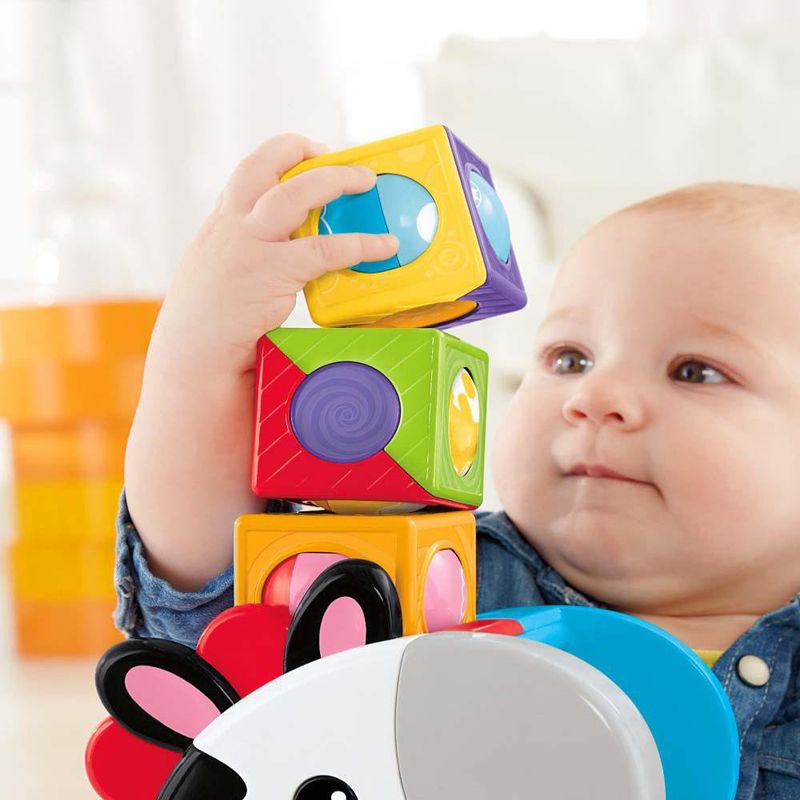 Cebra Bloques de Actividades Fisher Price
