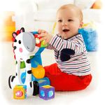 Cebra Bloques de Actividades Fisher Price