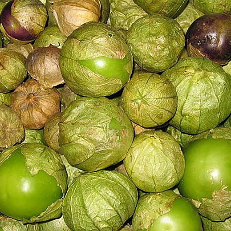 Semilla-de-Miltomate
