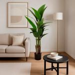 Planta Hojas Verdes con Pote