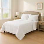 Inserto para Duvet 100% de Algodón Blanco - Varios Tamaños
