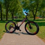 Bicicleta de Montaña Rin 24 Negra y Naranja