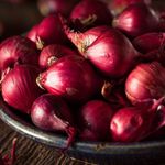 Semilla-de-Cebolla-Roja