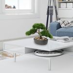 Planta Decorativa Bonsai con Pote
