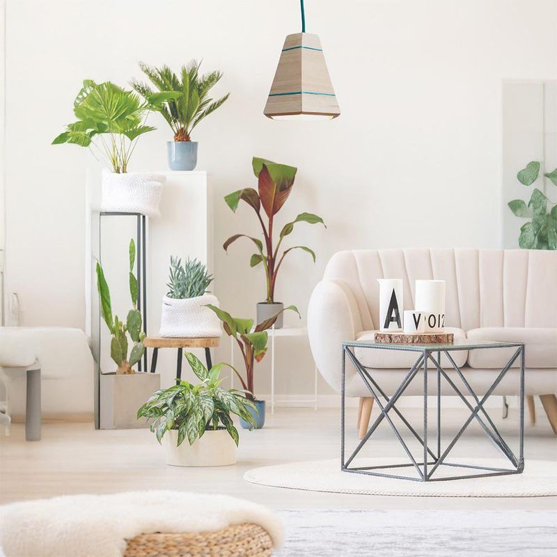 Lámpara Colgante Tipo Cono de Madera Clara