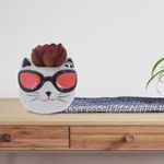 Planta-Artificial-con-Pote-Diseño-Gatito-con-Lentes