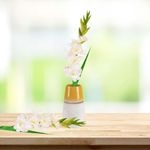 Gladiola-Artificial-Blanca