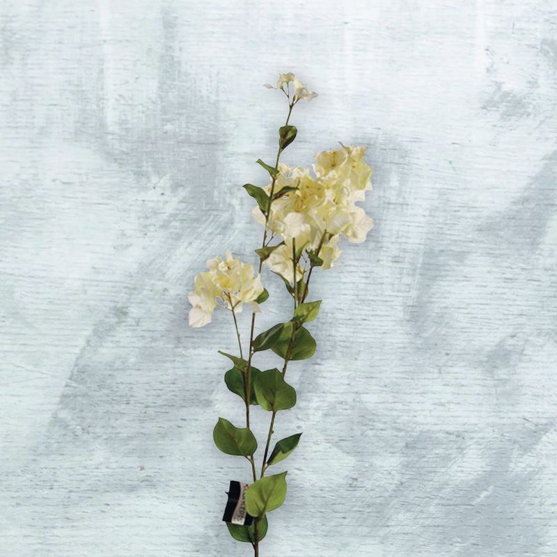 Flor-Veranera-Amarilla