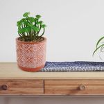 Planta-Artificial-con-Pote-Rojo-y-Detalles-Blancos