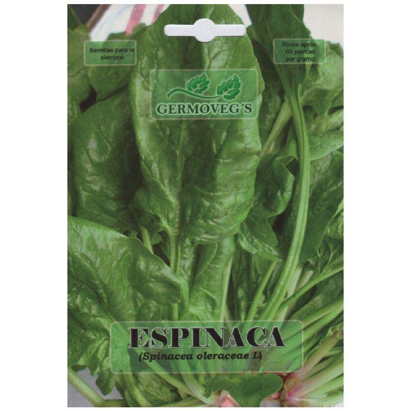 Semilla De Espinaca - Germovegs